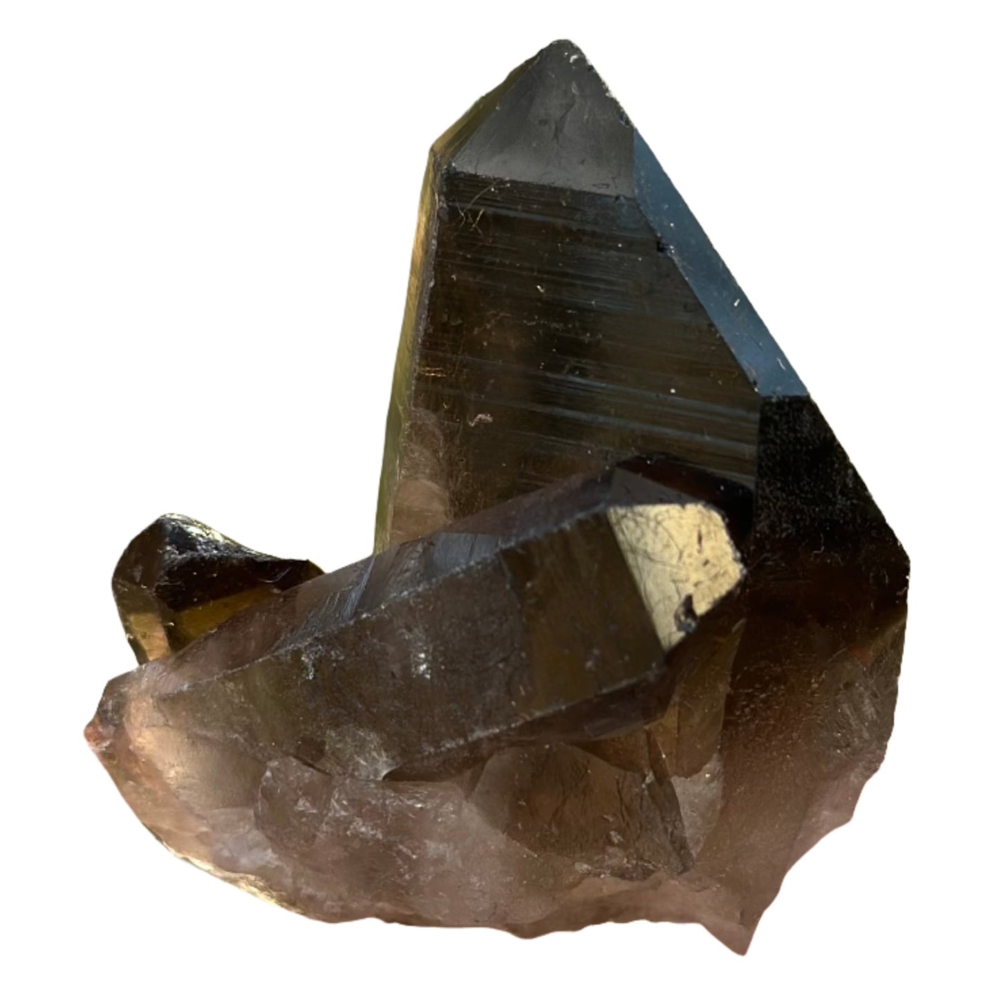 Smoky Quartz Point Cluster