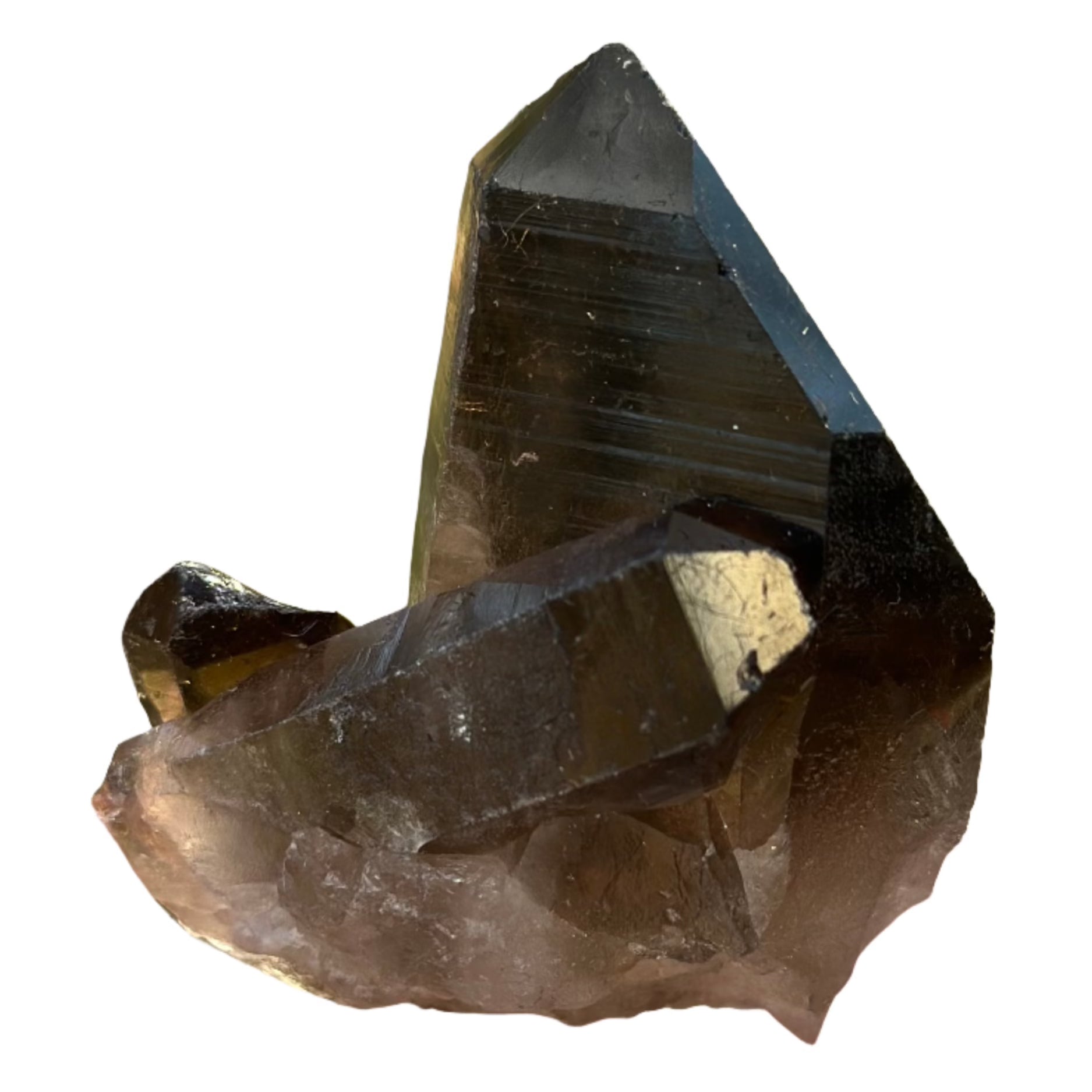 Smoky Quartz Point Cluster