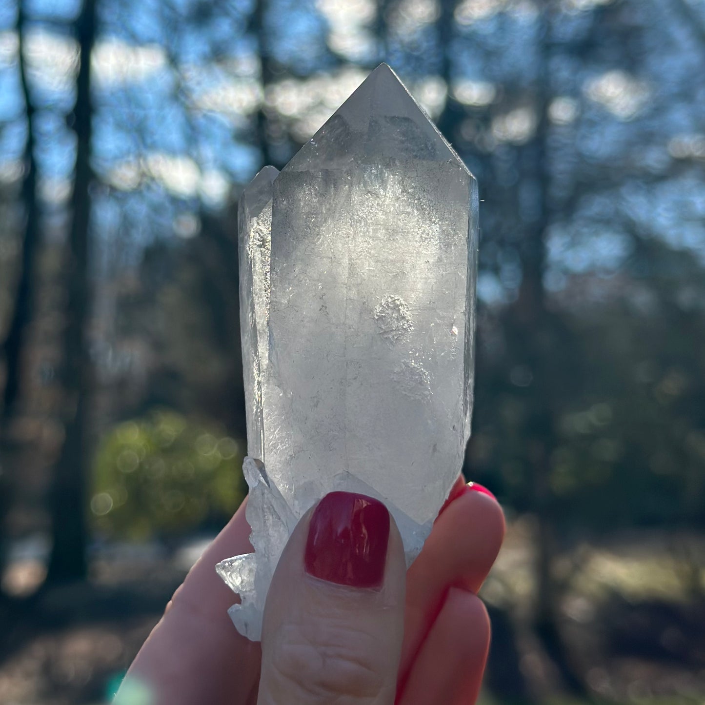 Clear Quartz Cluster 244g