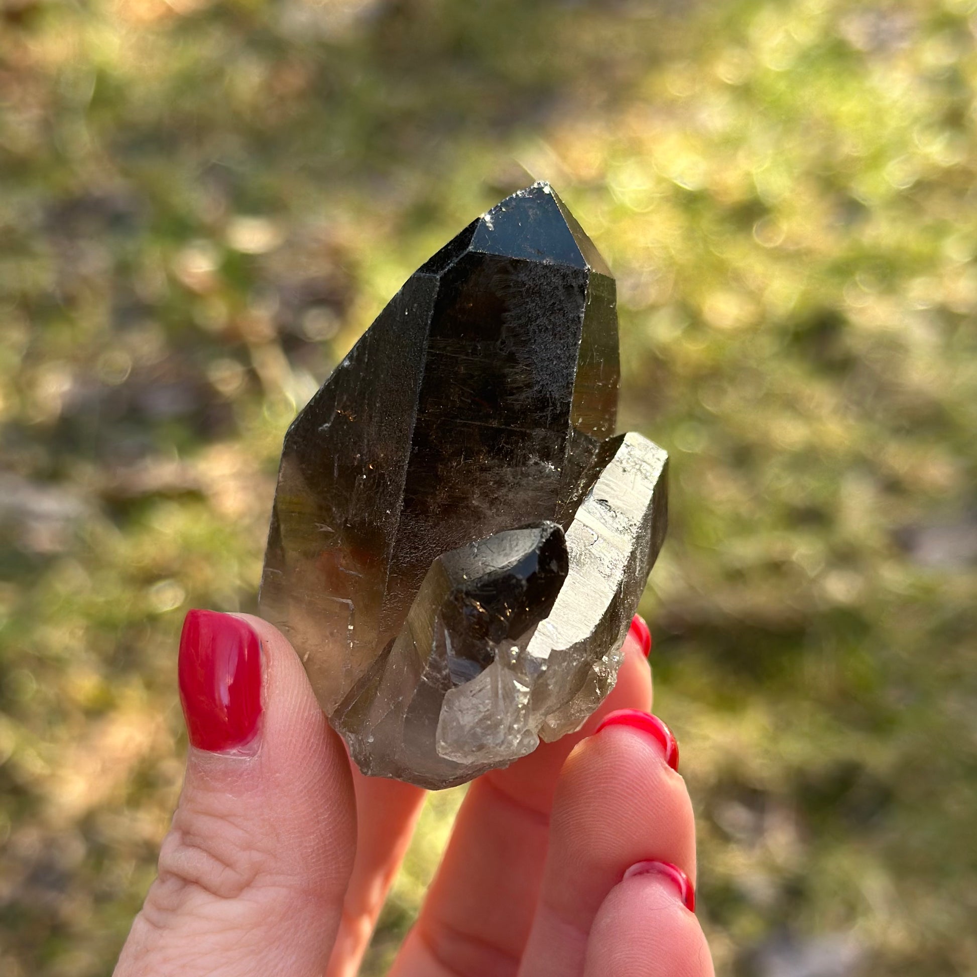Smoky Quartz Point Cluster