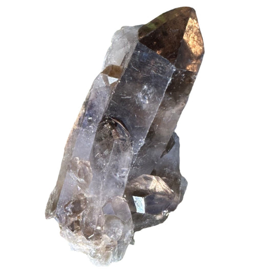 Smoky Quartz Point Cluster