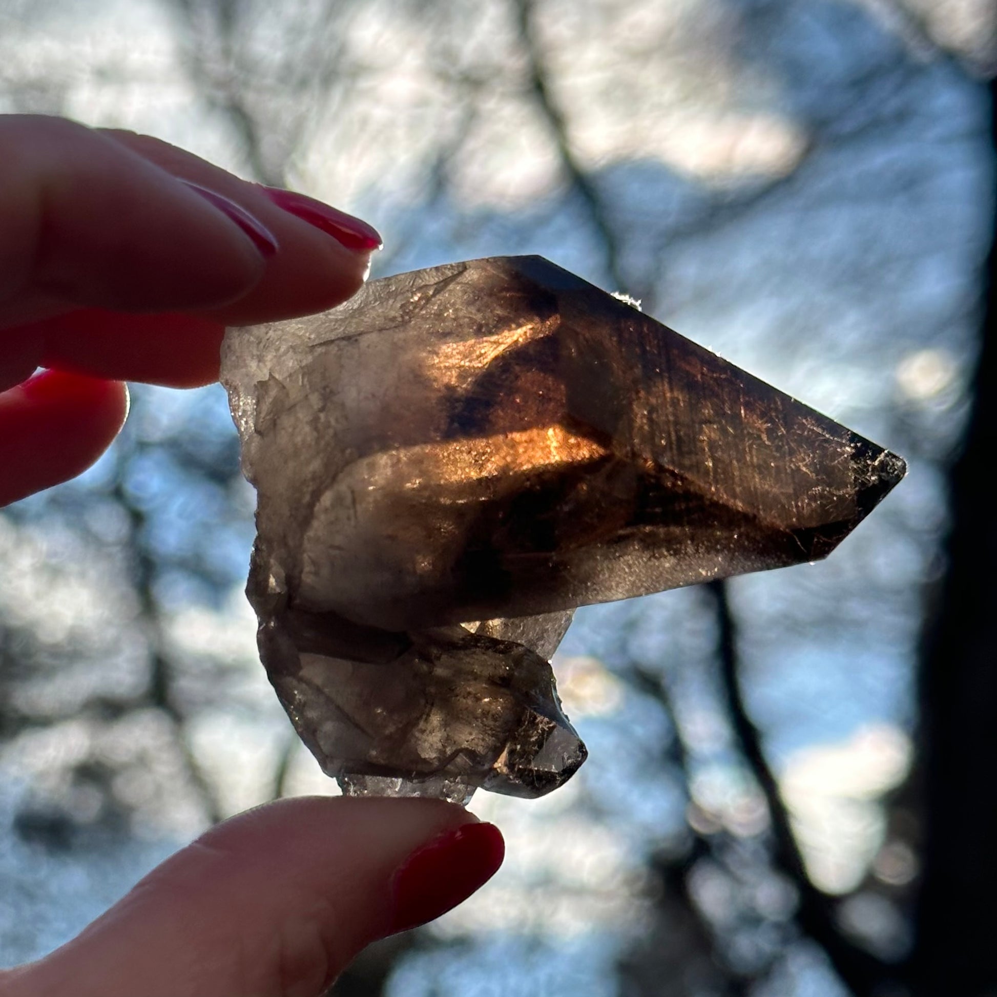 Smoky Quartz Point Cluster
