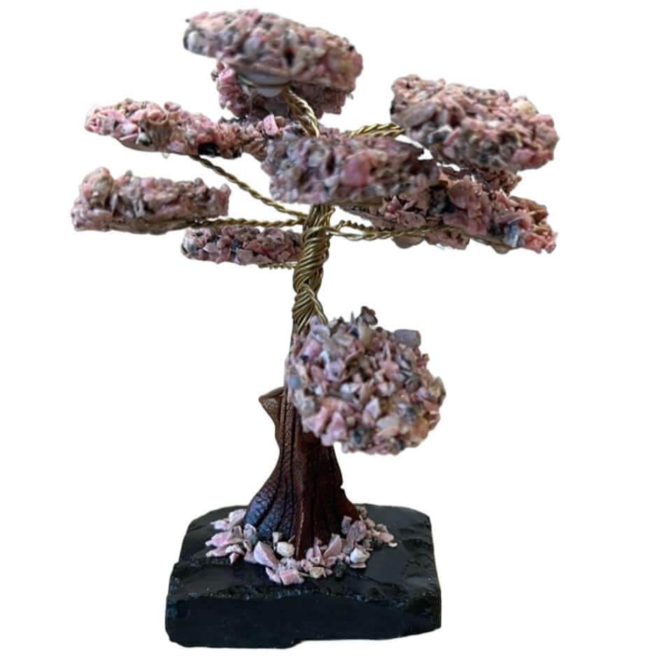 Rhodonite Gem Tree with Black Onyx Base 4.75"