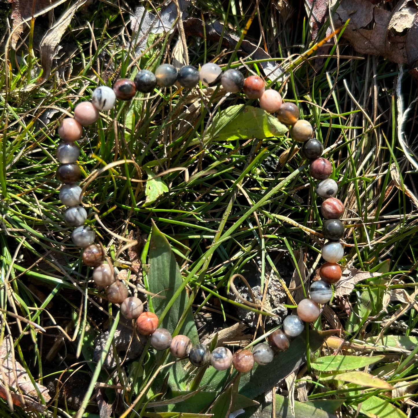 Petrified Wood Bracelet 4MM