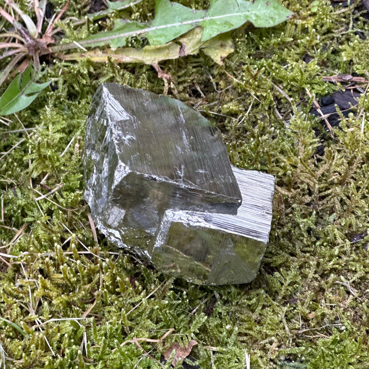 Pyrite Cluster 245g