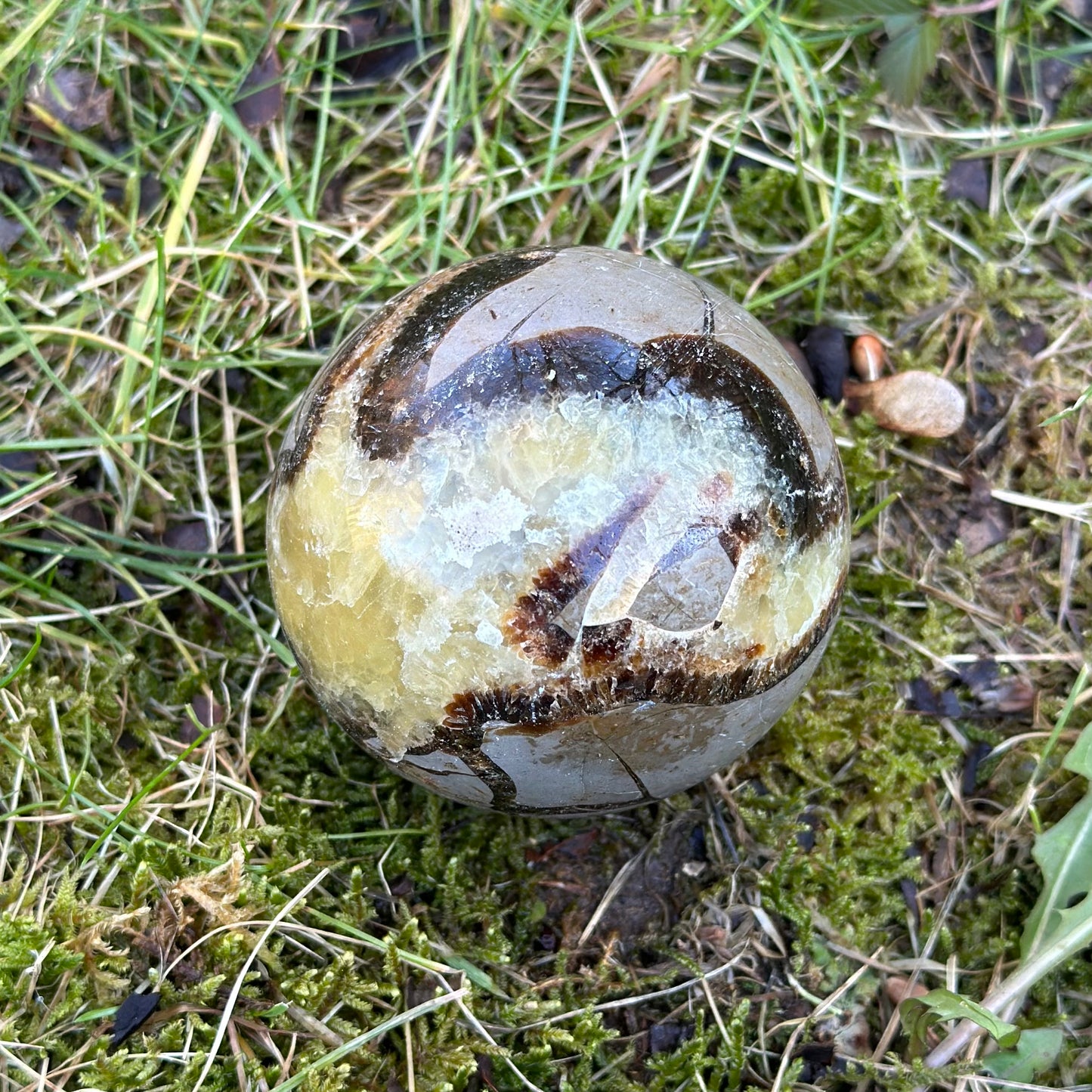 Septarian Sphere 326g