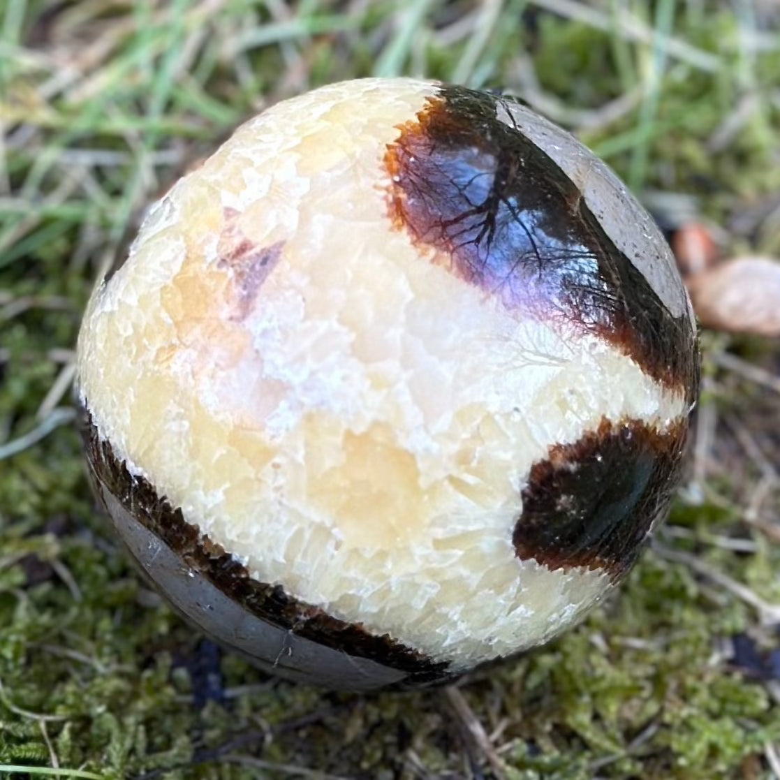 Septarian Sphere 223g