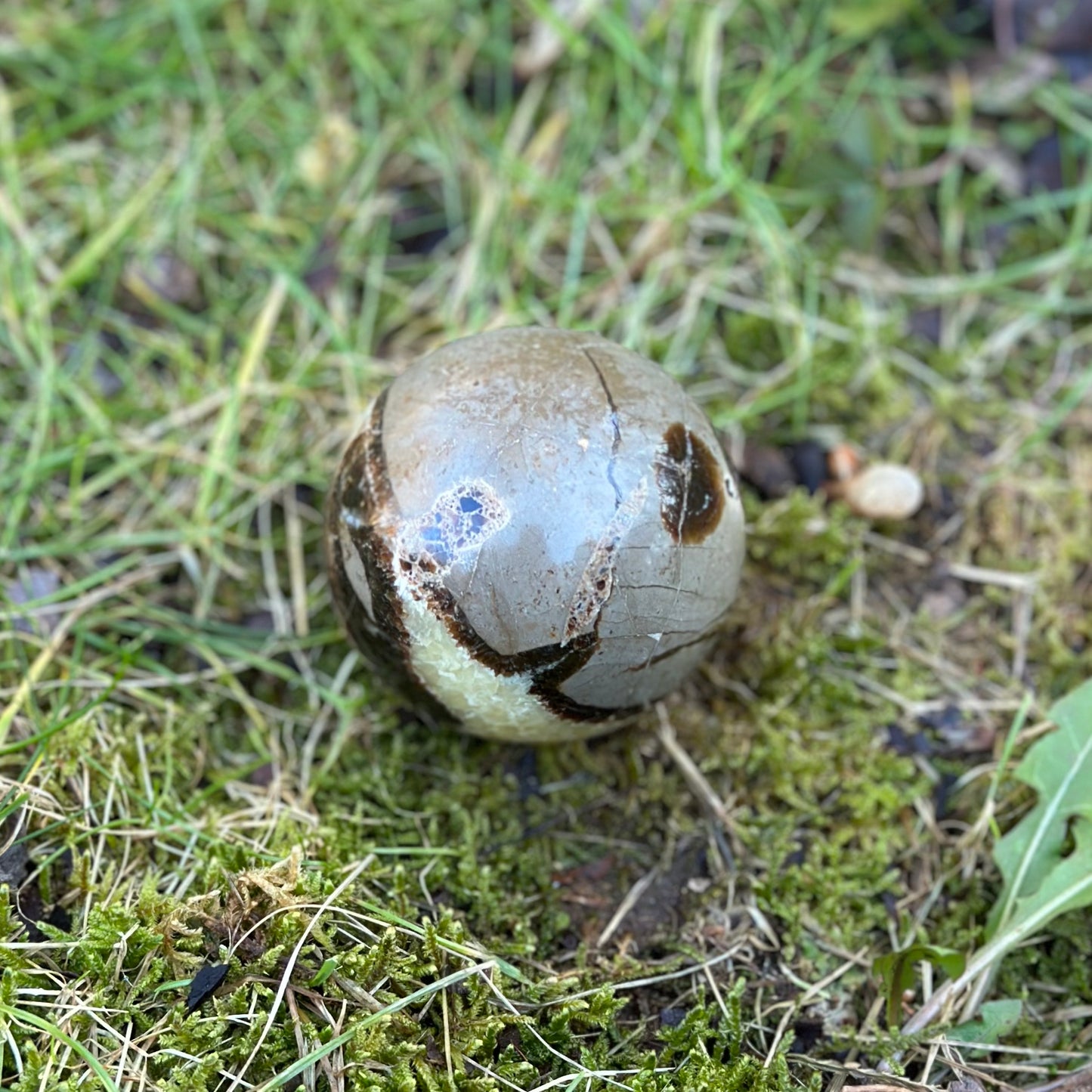 Septarian Sphere 223g