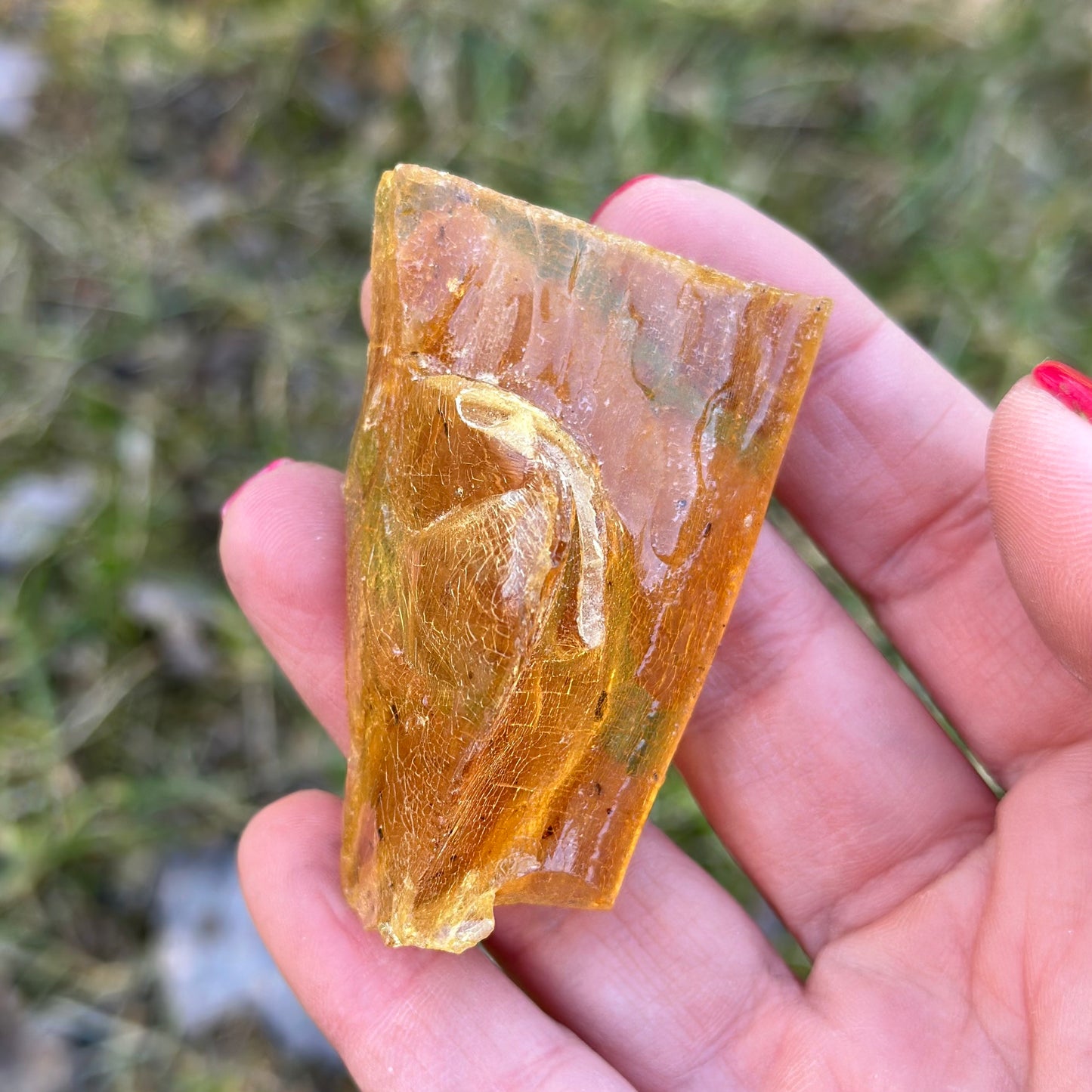 Amber Raw