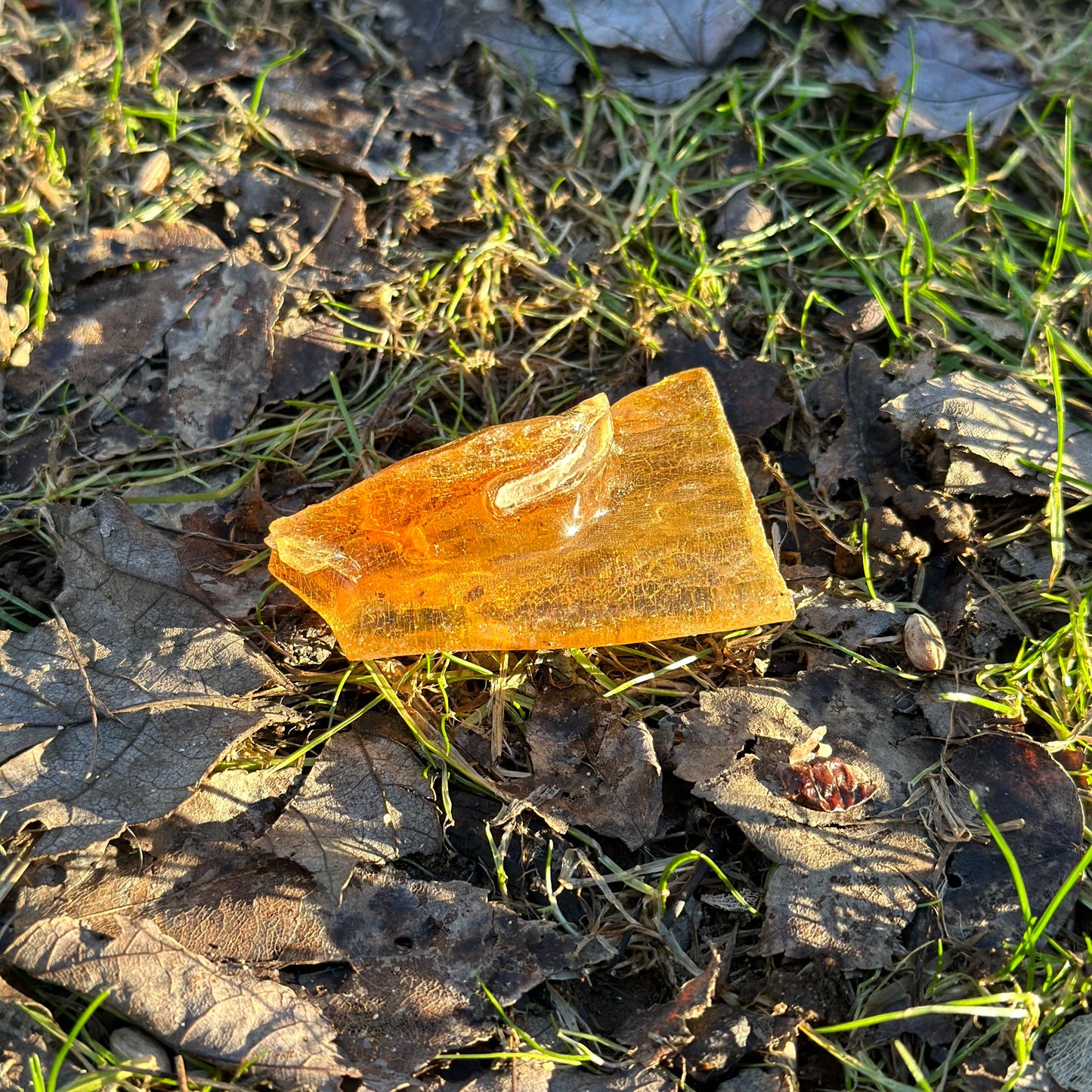 Amber Raw