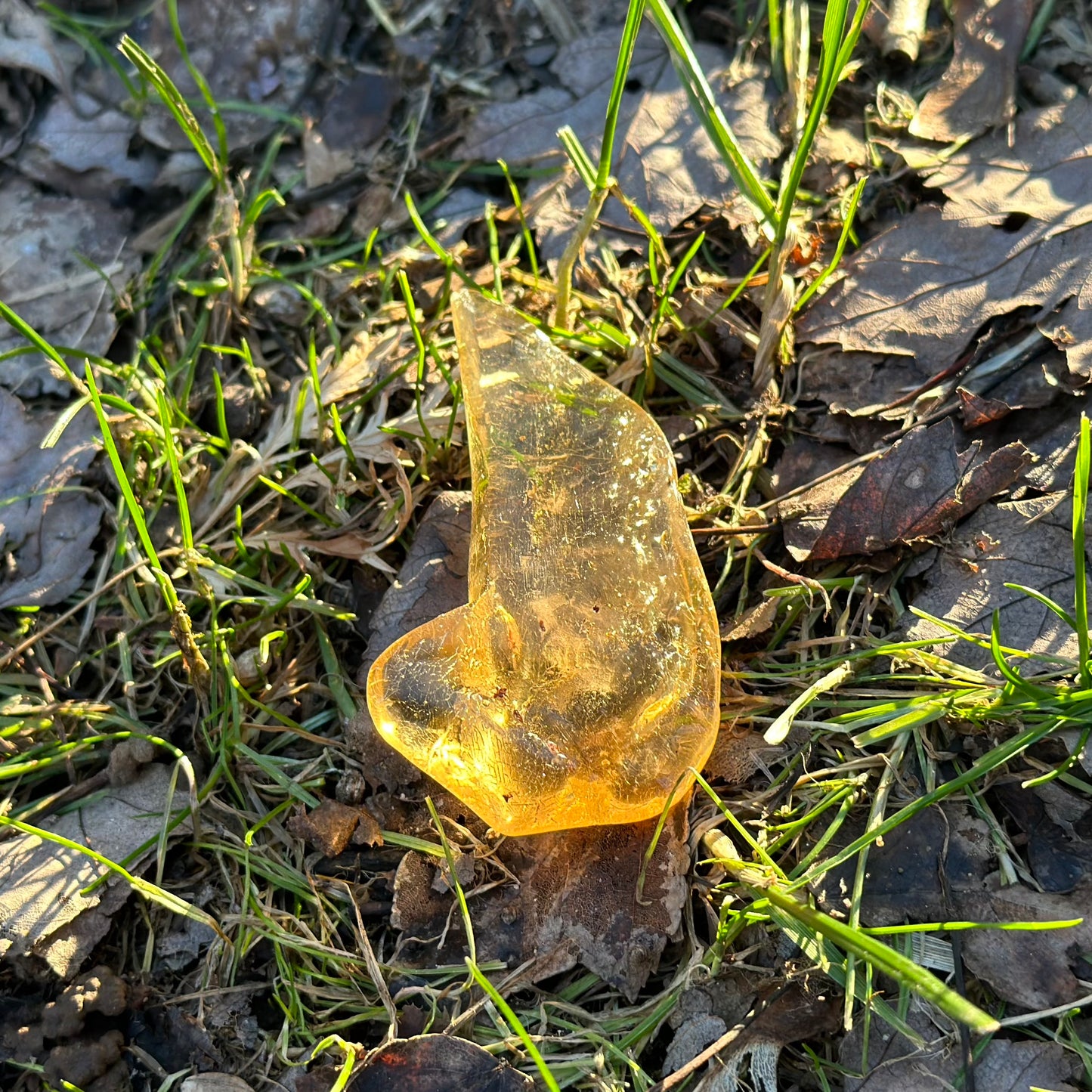 Amber Raw