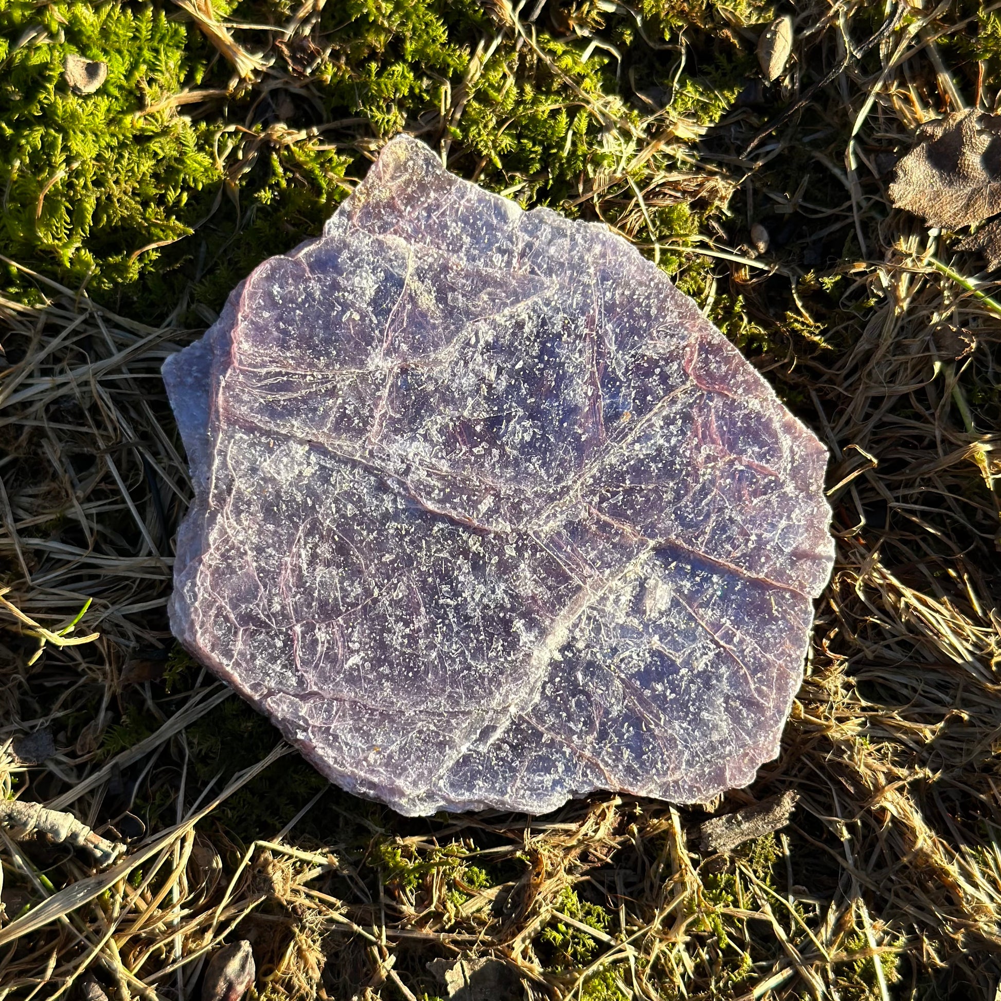 Lepidolite Mica Slices