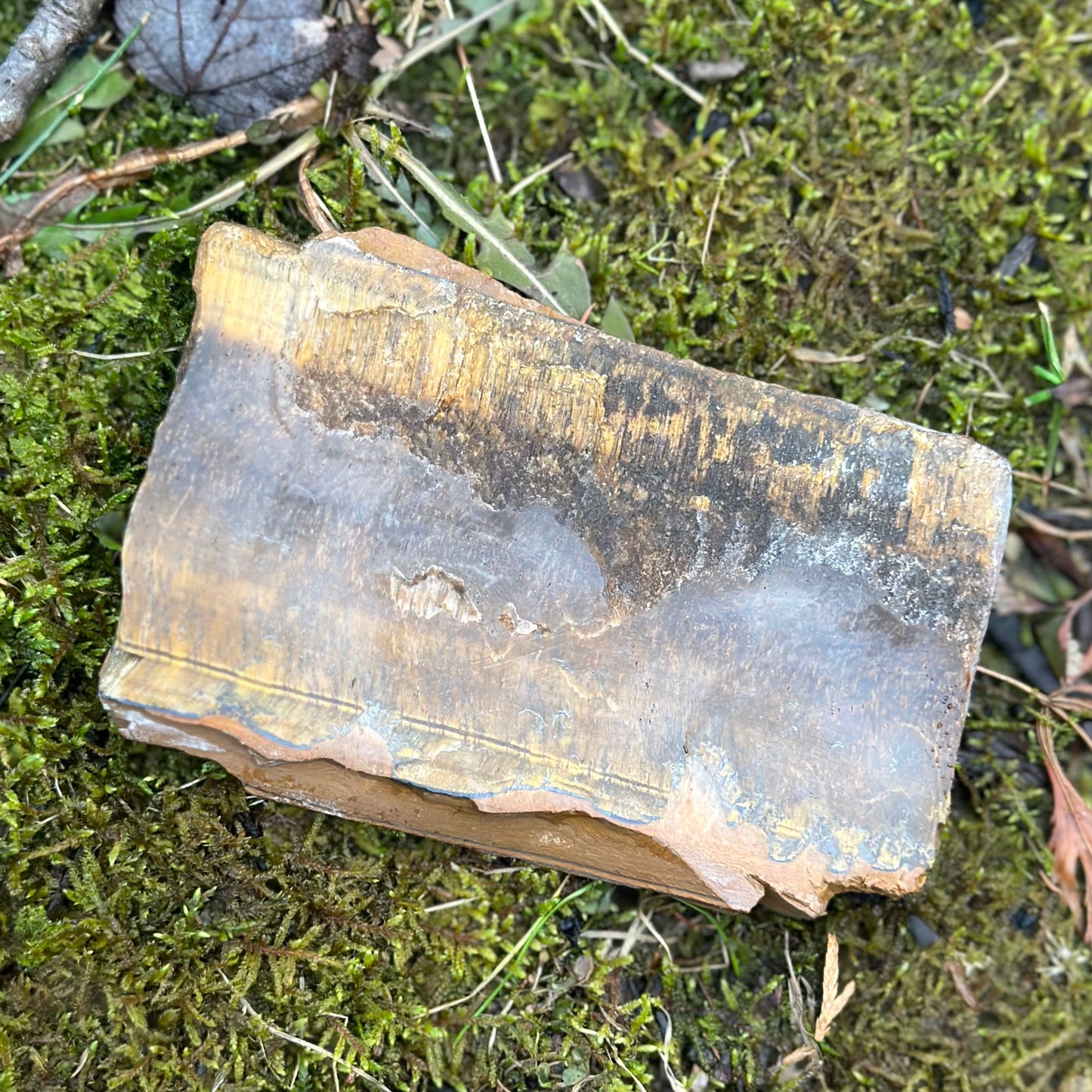 Thick Tiger Eye Slab featuring rich golden and brown hues, known for healing properties and enhancing mental clarity.