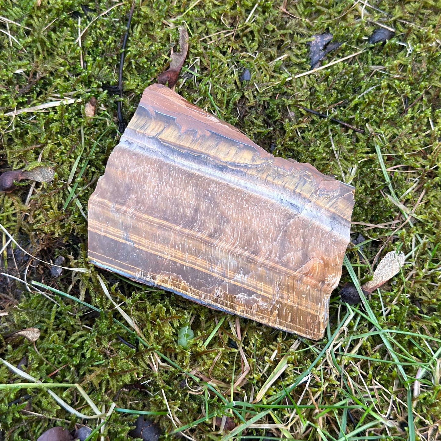 Tiger Eye slab on mossy ground, showcasing its unique colors and texture for healing and mental clarity.