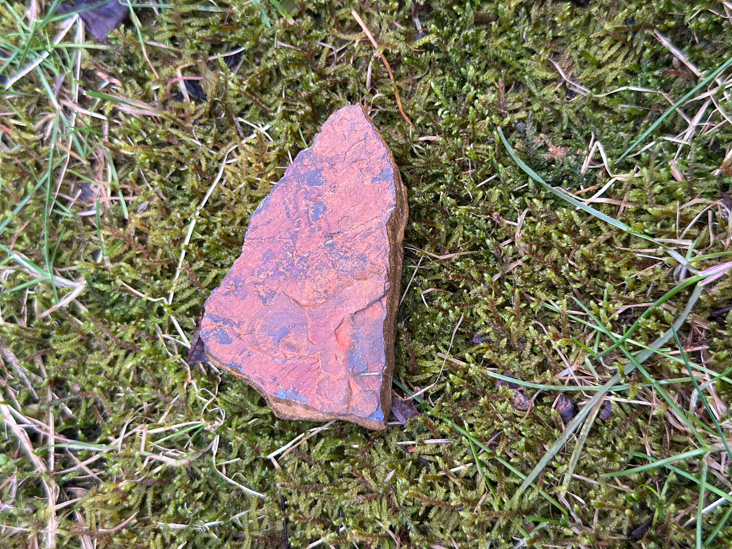 Tiger Eye raw free form crystal on mossy ground, showcasing its vibrant orange-brown hues for spiritual healing and clarity.