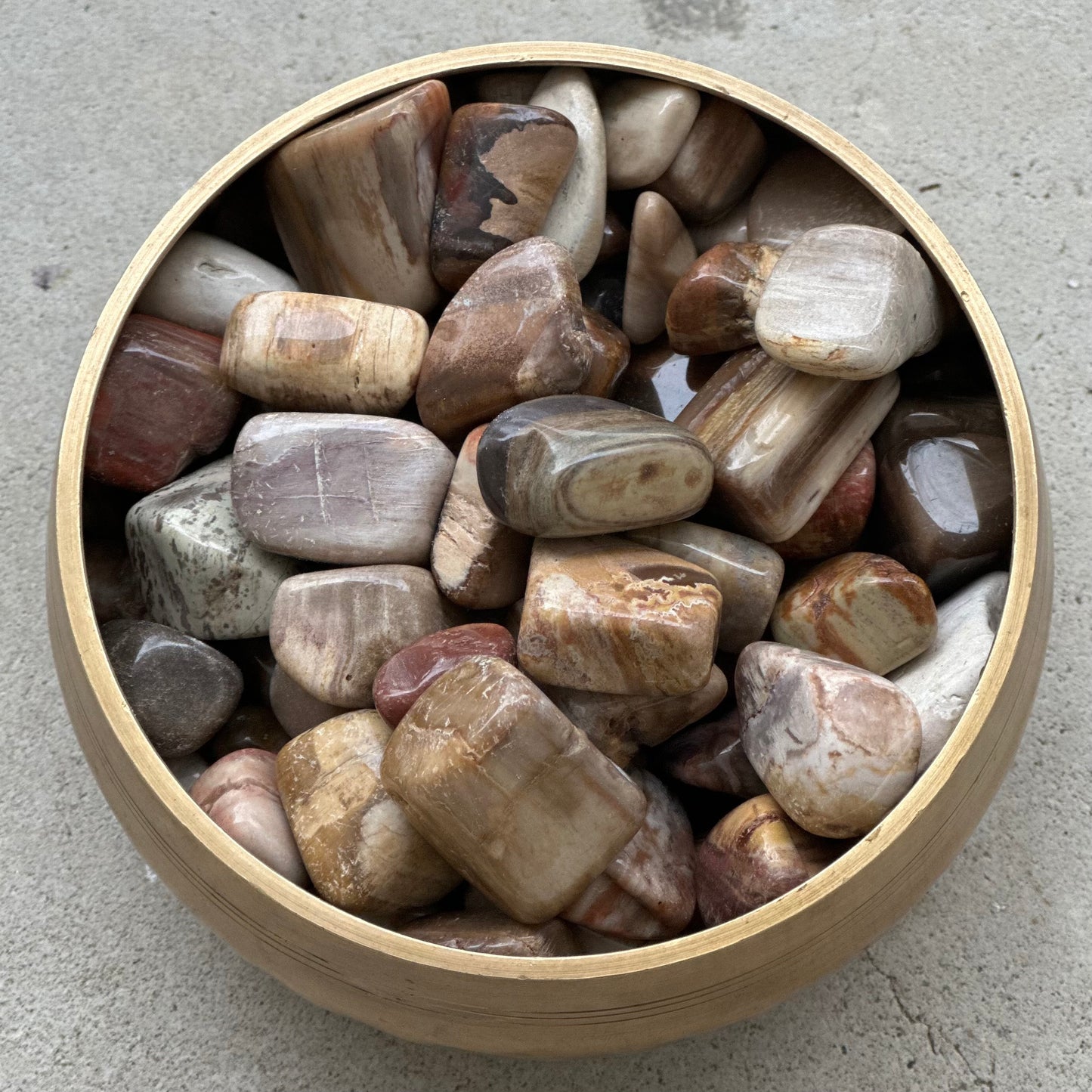 Bowl of polished tumbled petrified wood stones for transformation and empowerment.