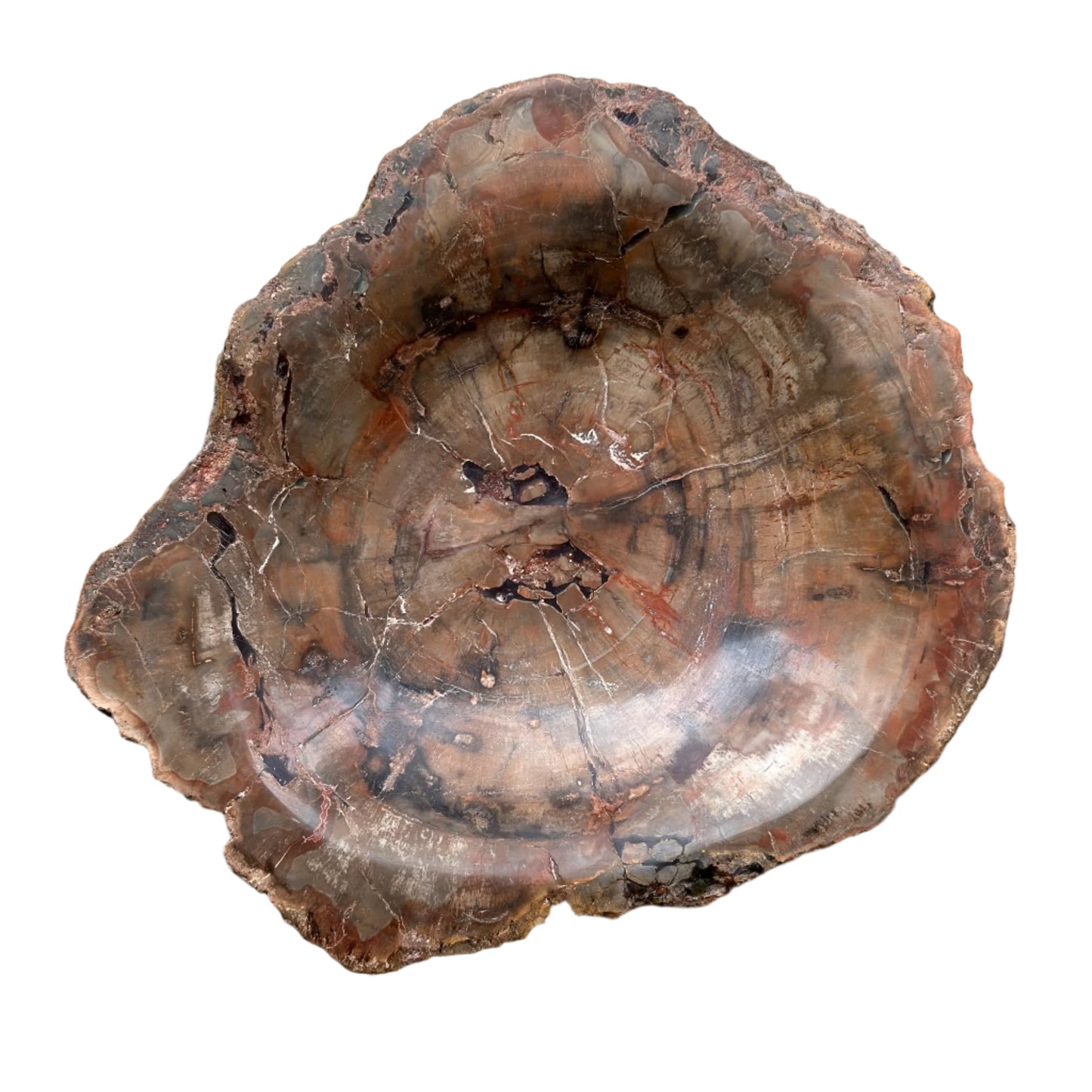 Petrified Wood Bowl