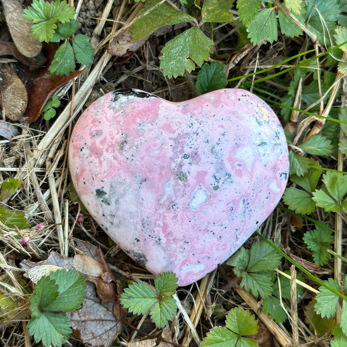 Rhodonite Heart 115g