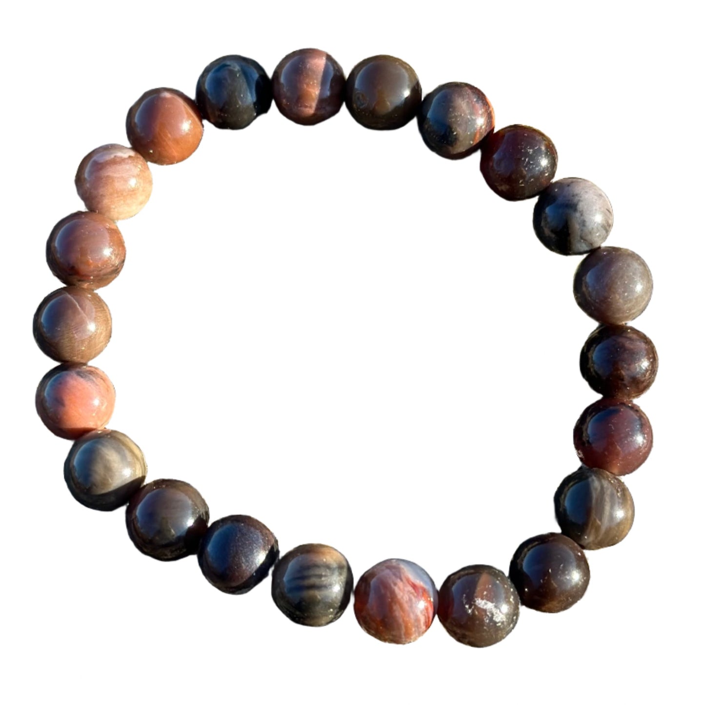 Petrified Wood Bracelet 8MM