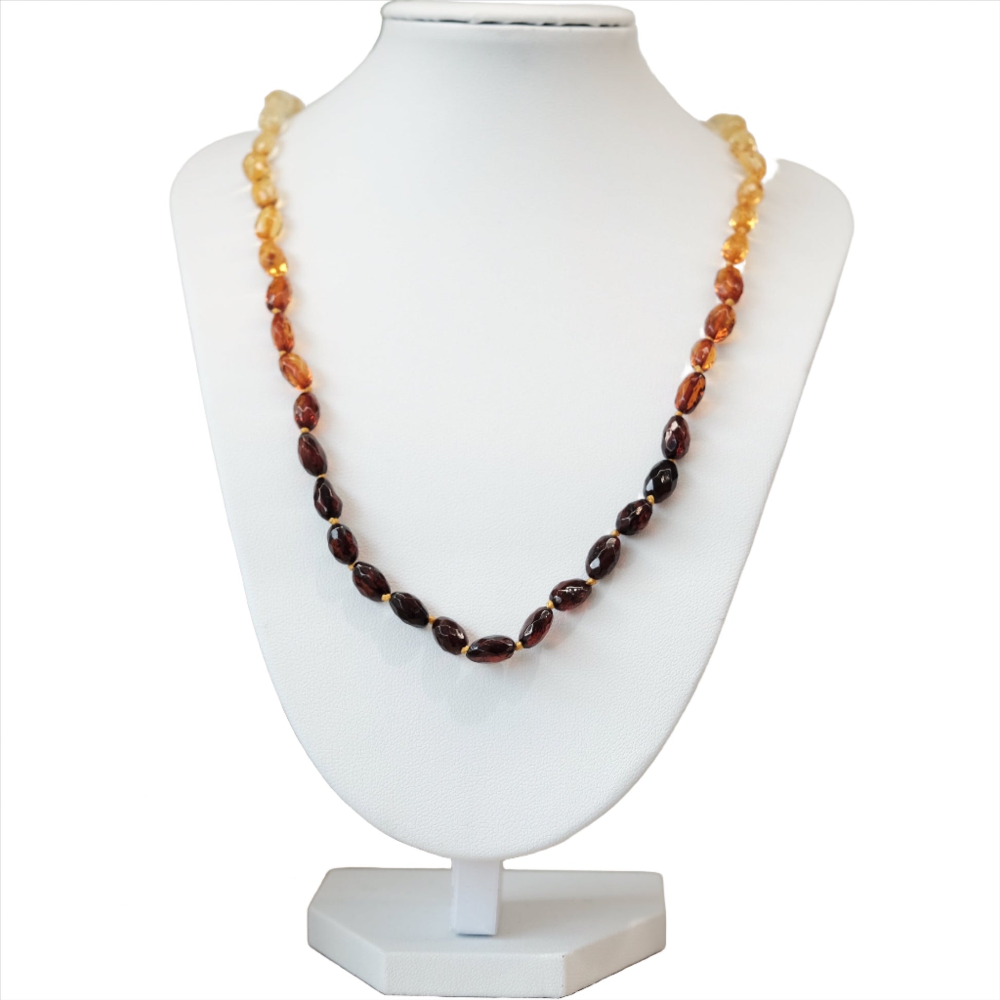 Amber Tricolor Necklace Adult Size