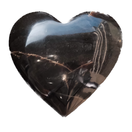 Amber Zebra Heart - Gentle Healing & Emotional Sunshine