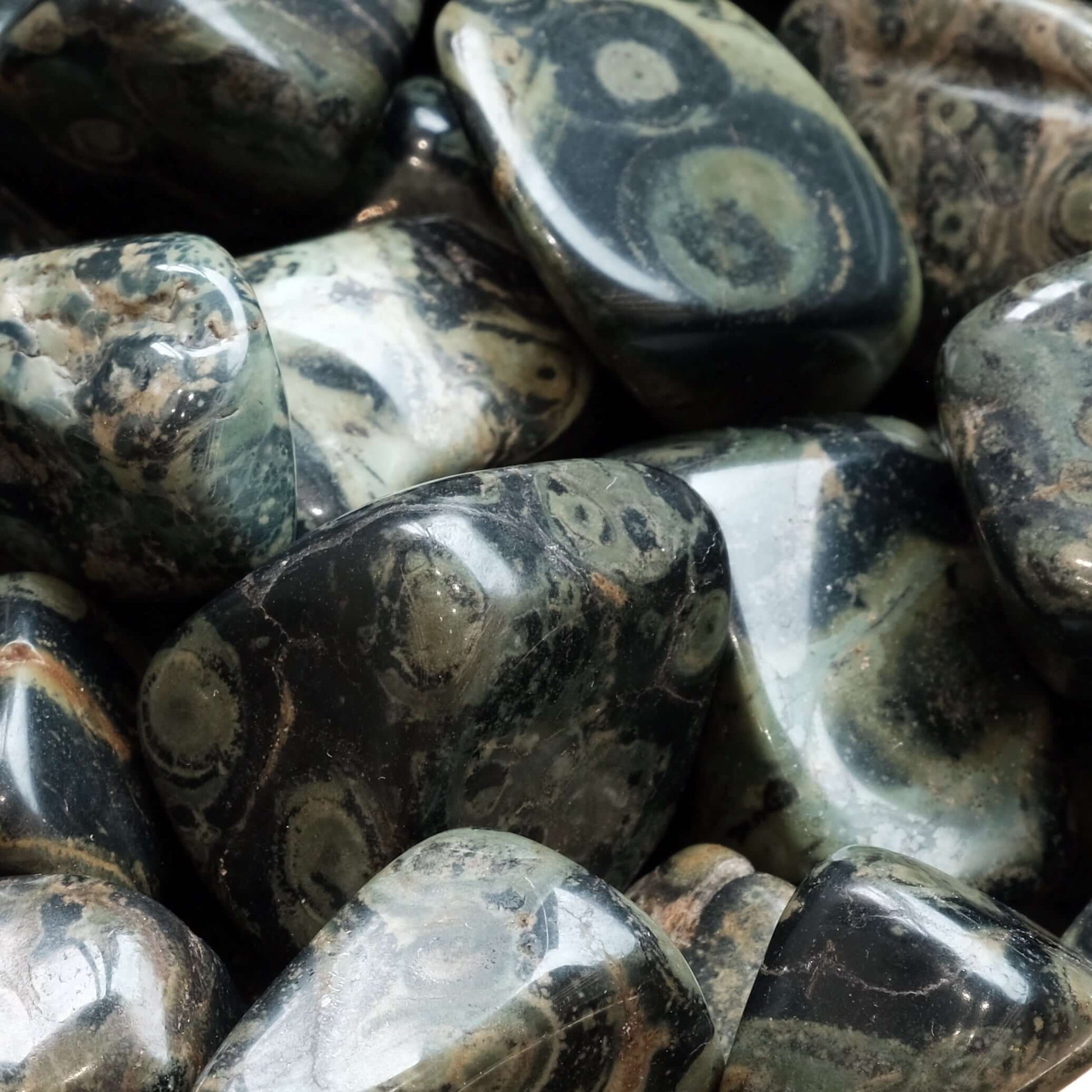 Kambaba Jasper tumbled stones with unique patterns, known for promoting tranquility, boosting confidence, and enhancing wisdom.