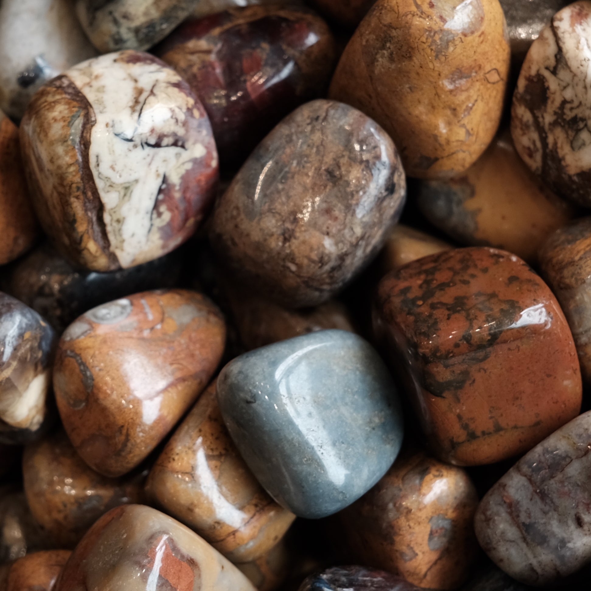 Polished Pietersite tumbled stones featuring a variety of earthy colors and textures.