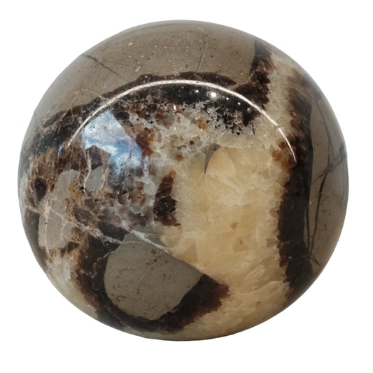 Septarian Sphere 223g
