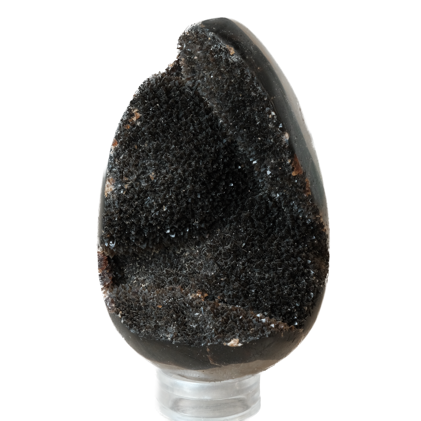 Septarian Egg Small