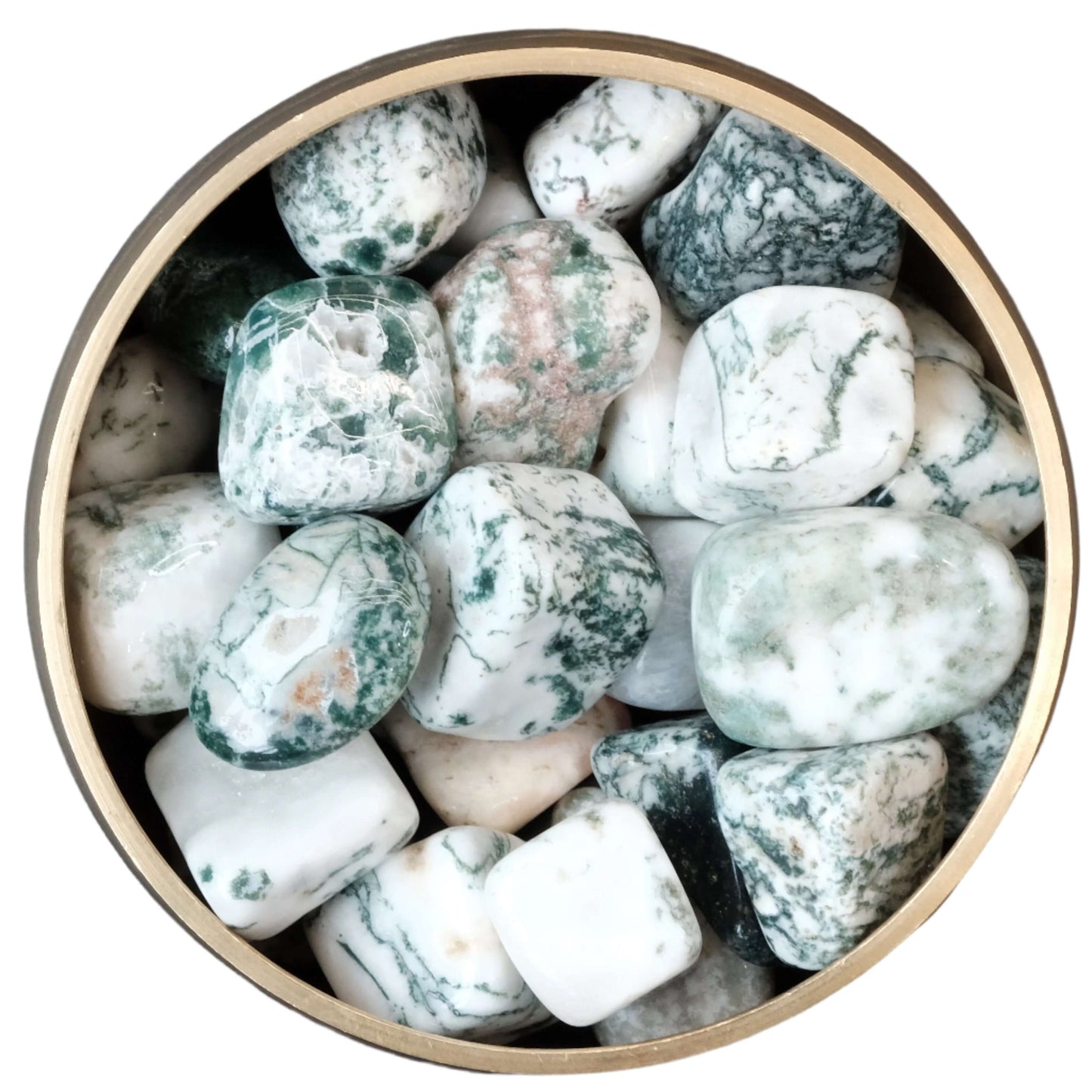 Tree Agate Tumble Stone