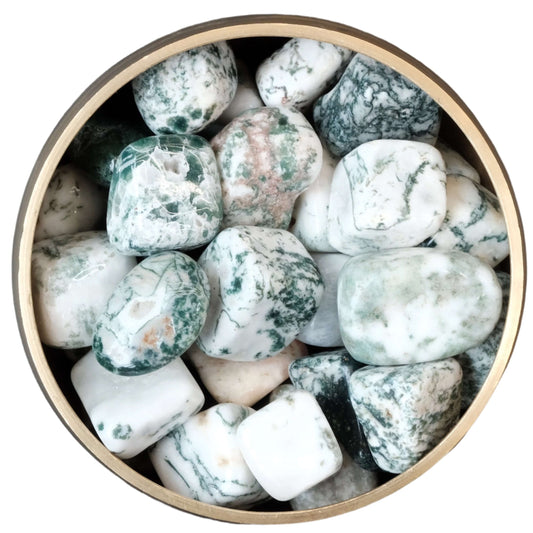 Tree Agate Tumble Stone