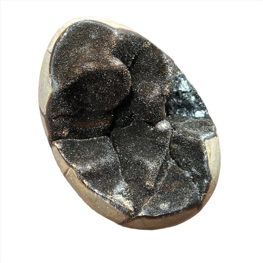 Septarian Egg Large