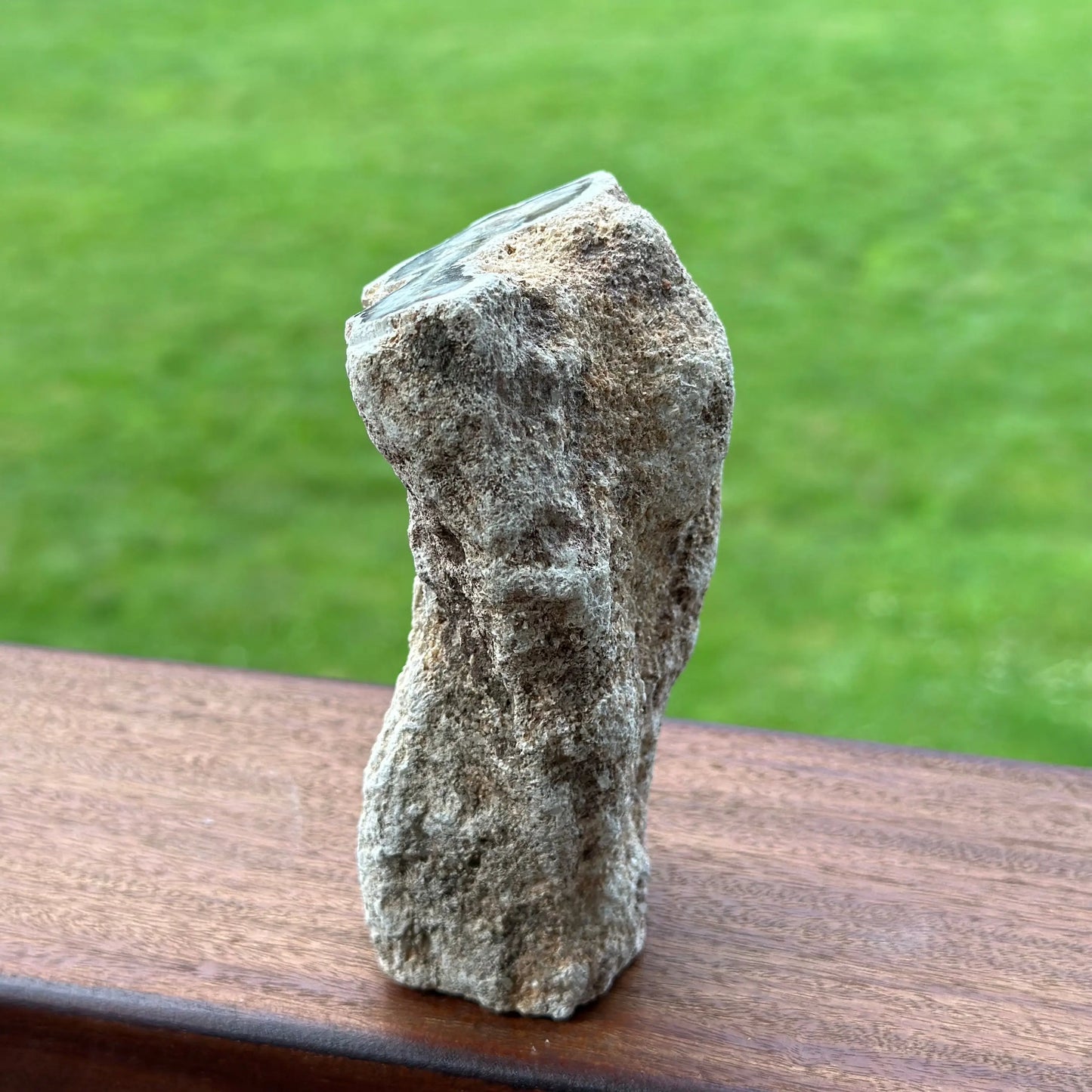 Petrified Wood Stump Slab