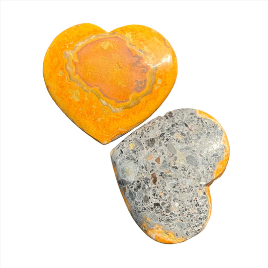 Bumble Bee Heart