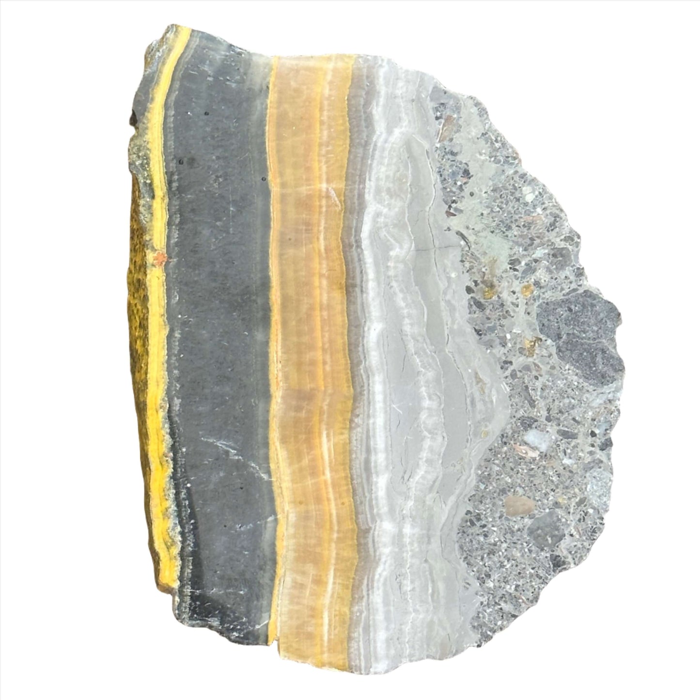 Bumble Bee Jasper Slab