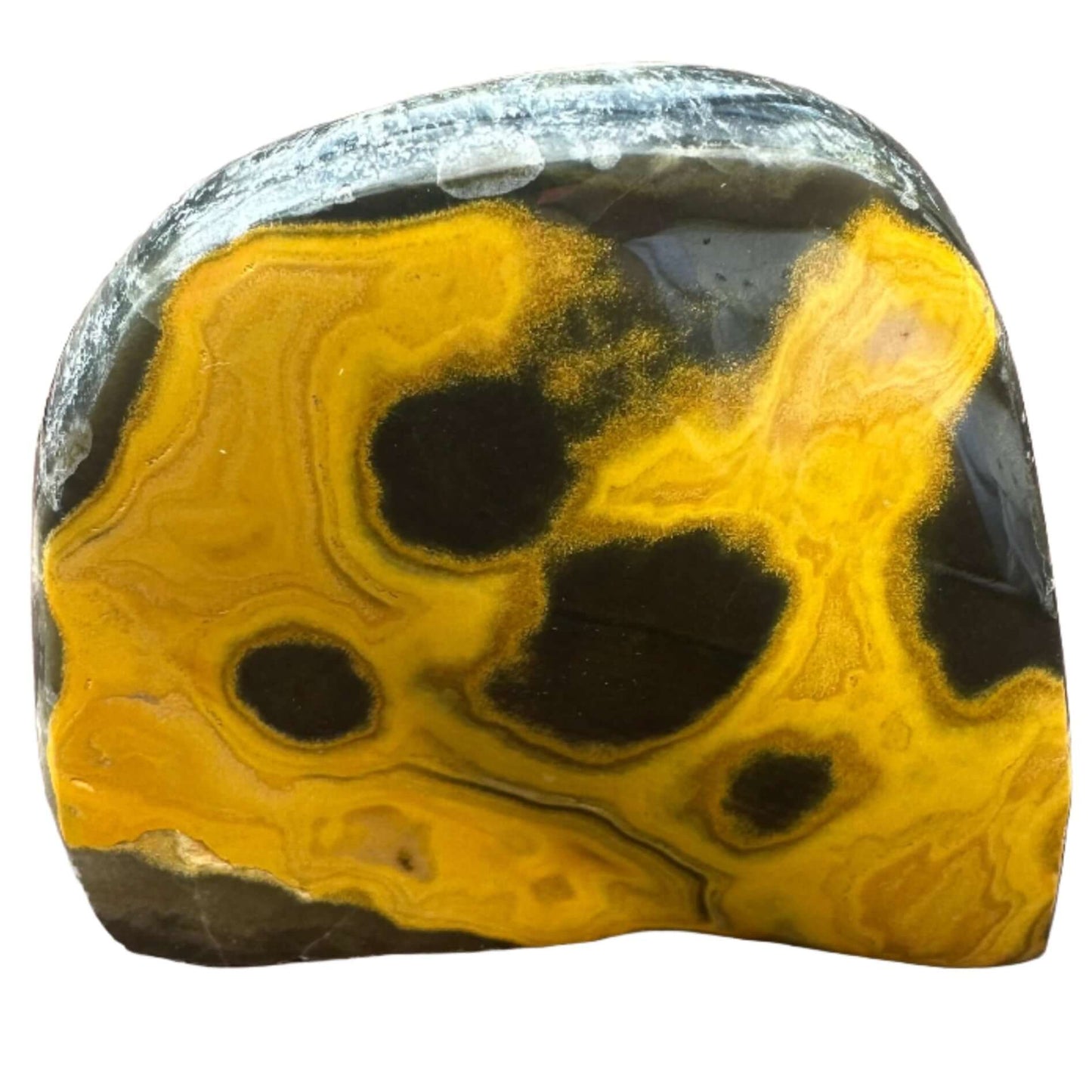 Bumble Bee Jasper Free Form