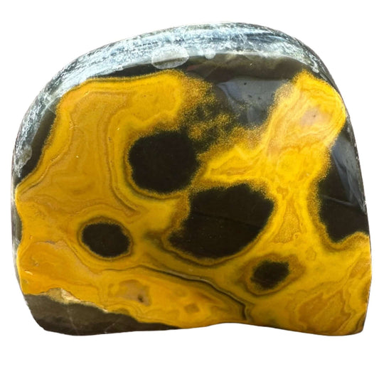 Bumble Bee Jasper Free Form