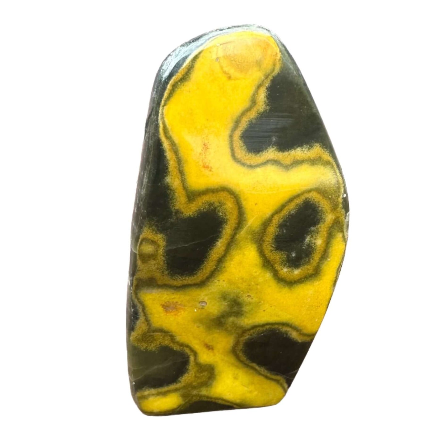 Bumble Bee Jasper Free Form