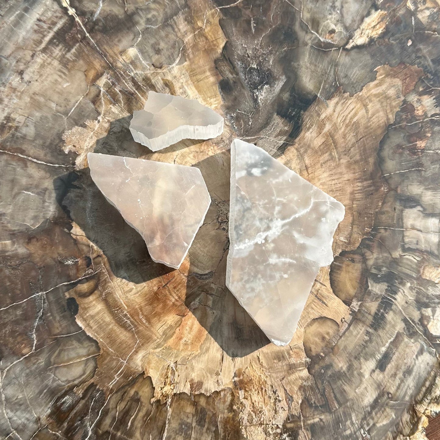 TV Selenite