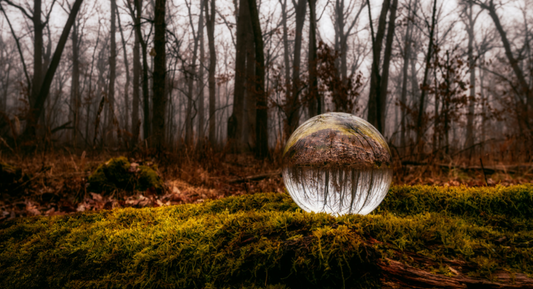 Tu B’Shvat: The New Year of Trees & Its Connection to Gemstones and Natural Healing