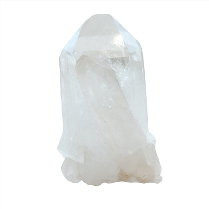 Clear Quartz Cluster 244g 