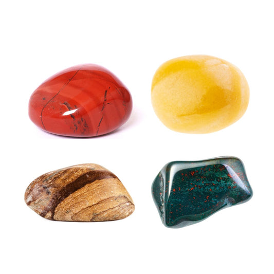 Nature’s Antibiotics Kit – Strengthen, Cleanse & Support Immunity