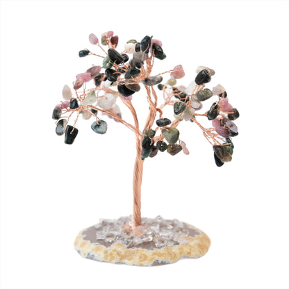 Watermelon Tourmaline Natural Gemstone Tree of Life with Agate Base