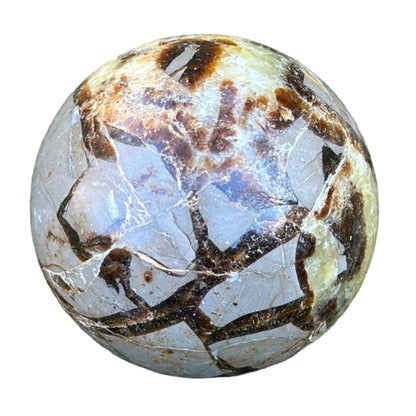Septarian Sphere 326g