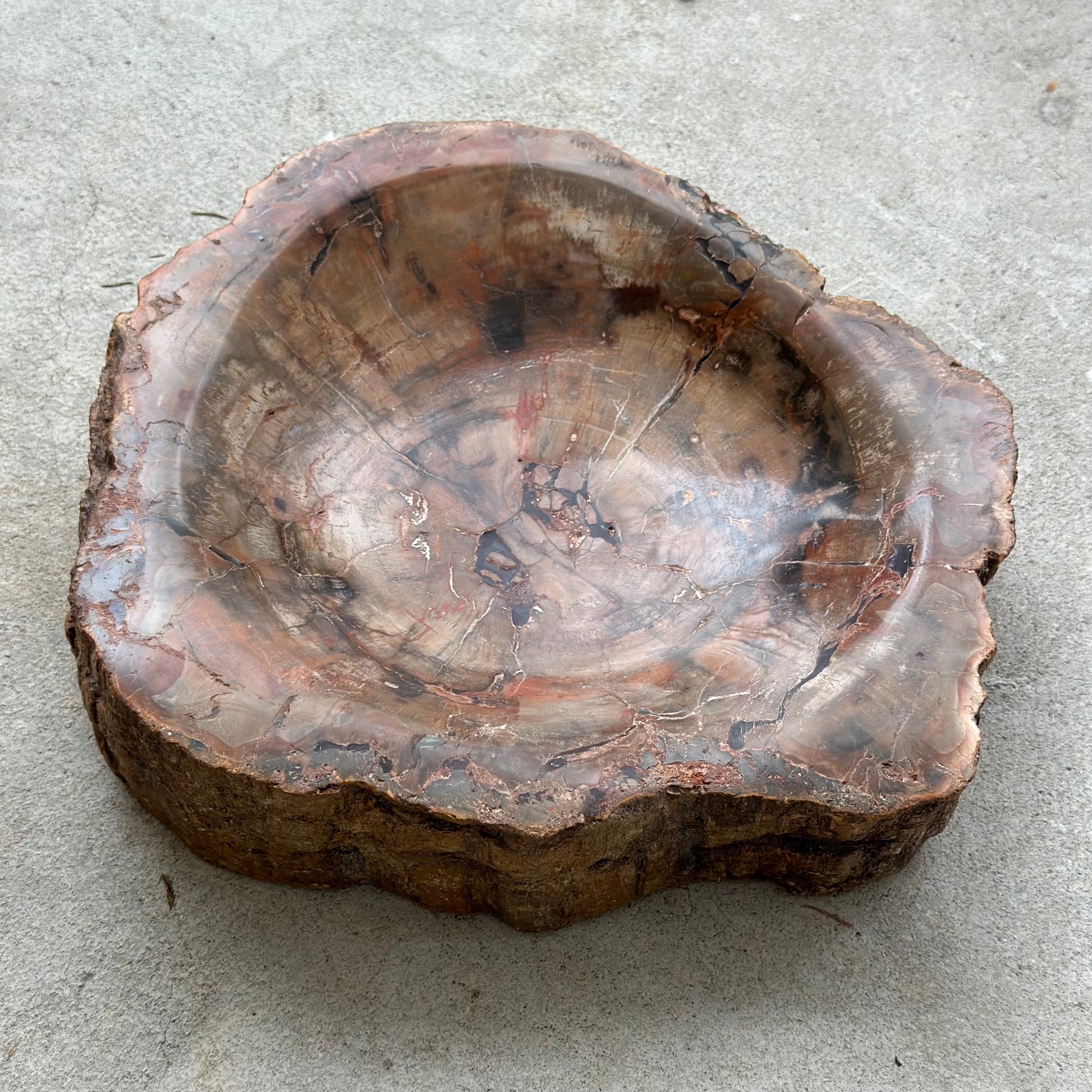 Petrified Wood Bowl 