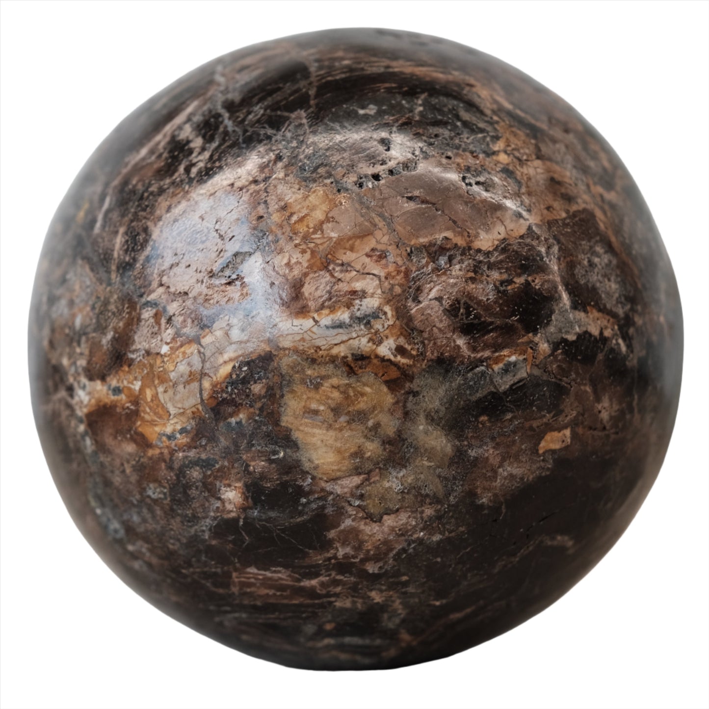 Petrified Wood Sphere 8cm 