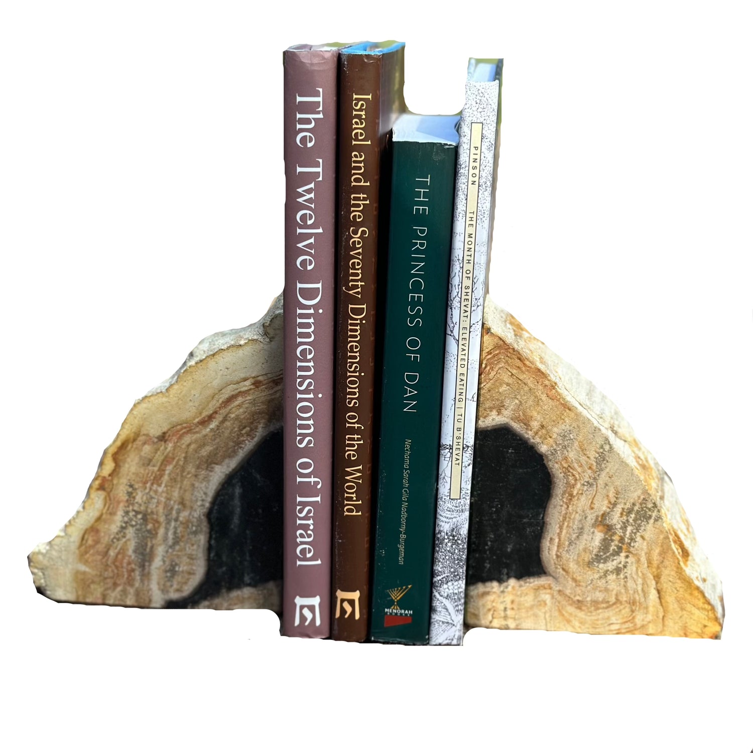 Petrified Wood Bookends Medium