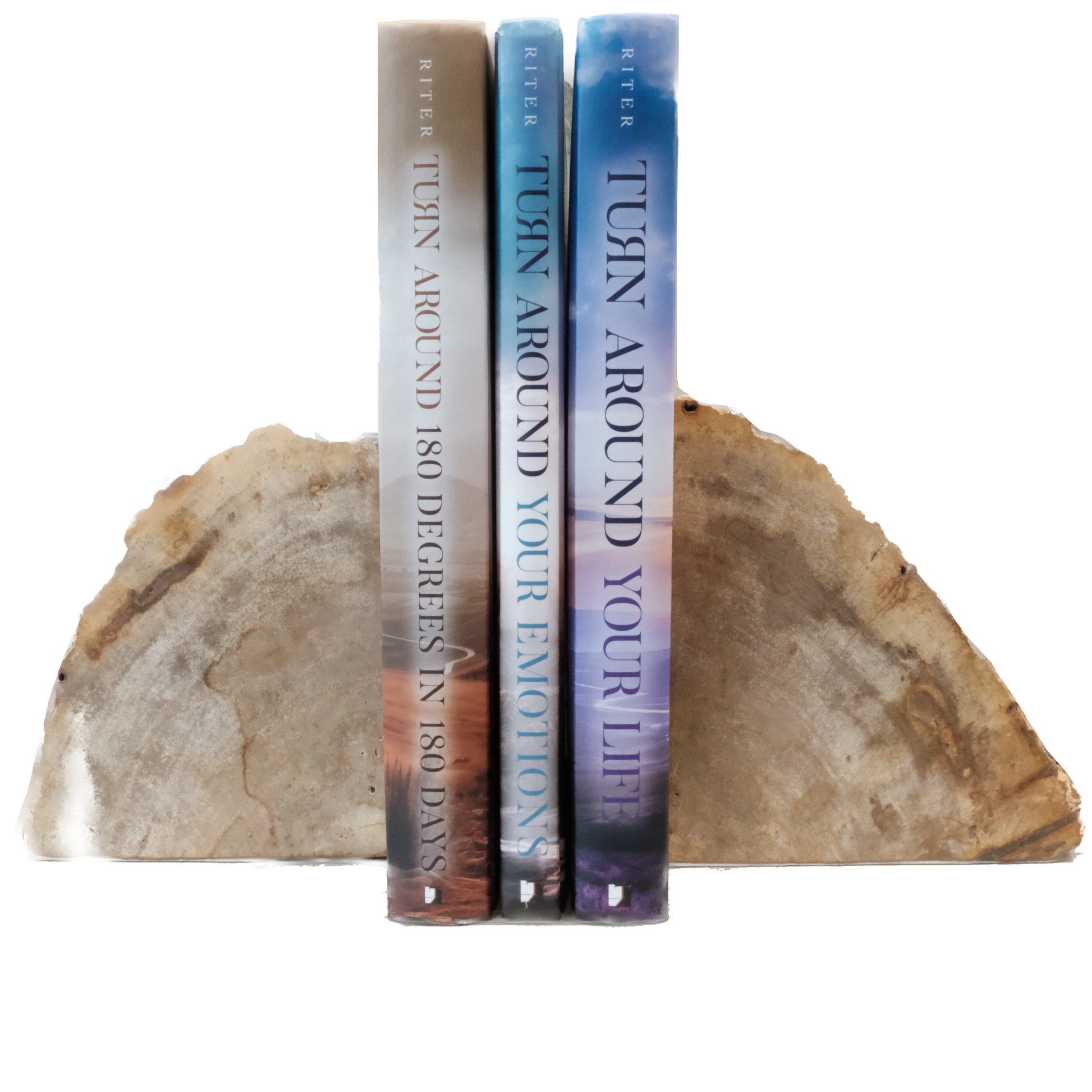 Petrified Wood Bookends large