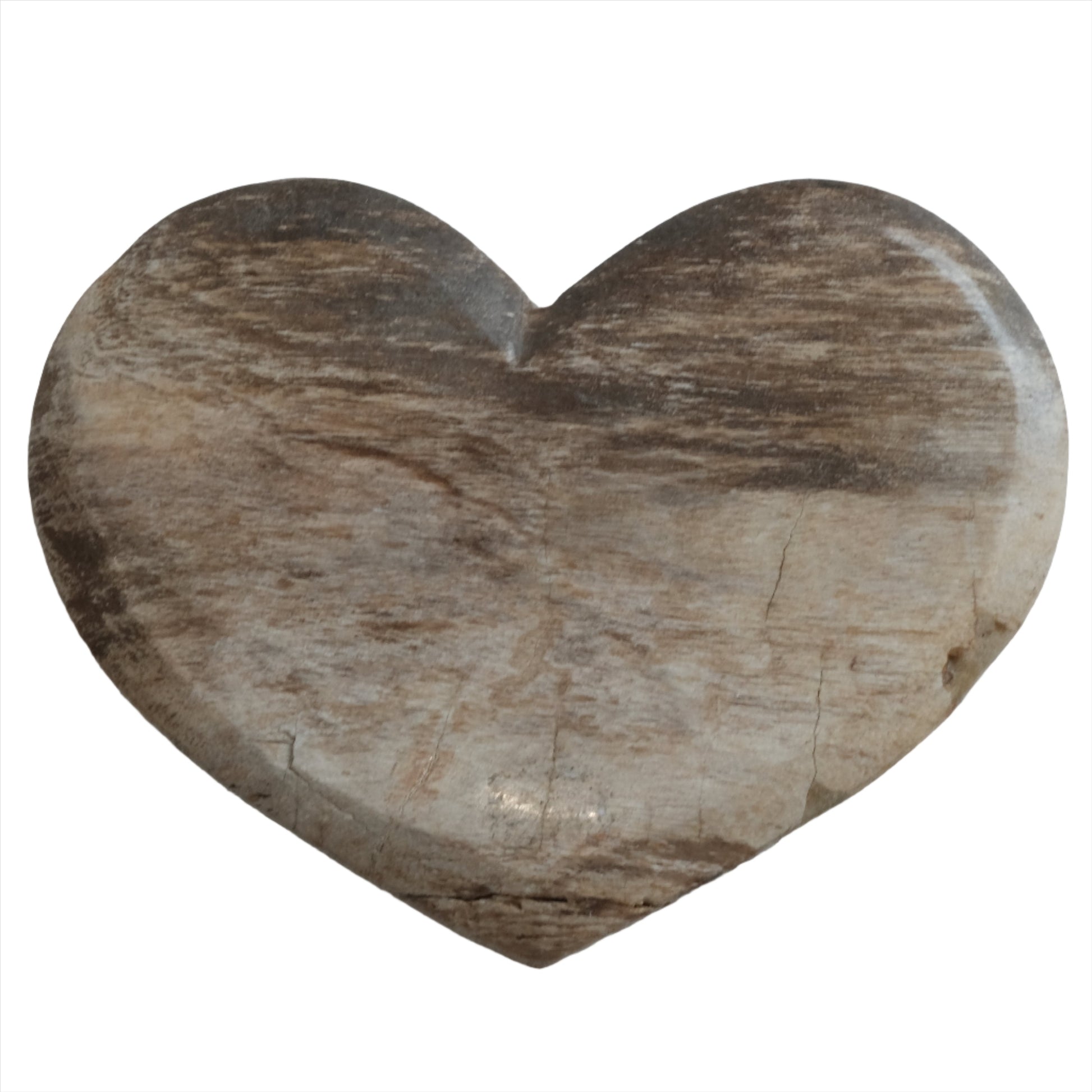 Petrified Wood Heart Flat stone for transformation, safety, and comfort, ideal for personal growth and slow internal transitions.