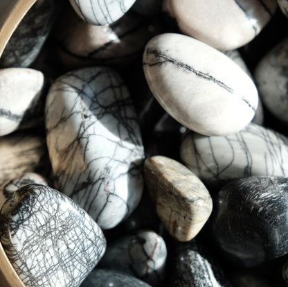 Tumbled Zebra Jasper stones 20-30MM displayed in a bowl, highlighting their unique patterns and healing properties for motivation and energy.